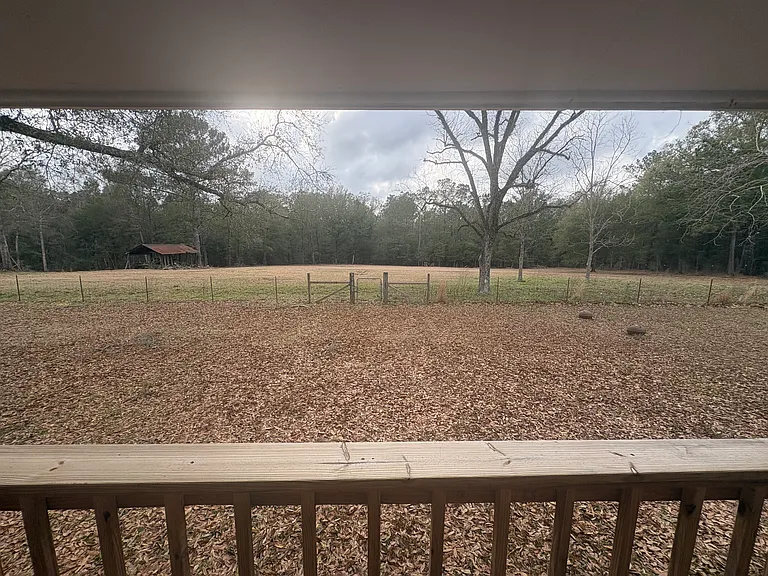 View from back porch