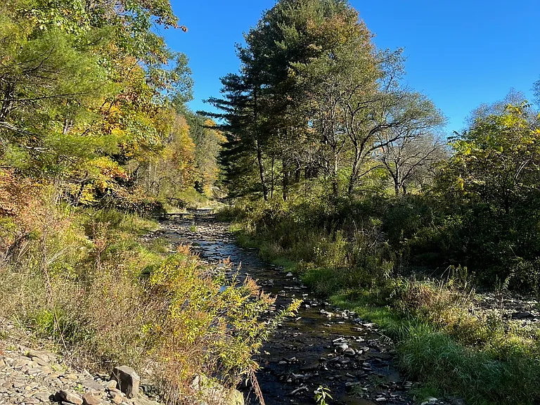 Creek runs on back side of house