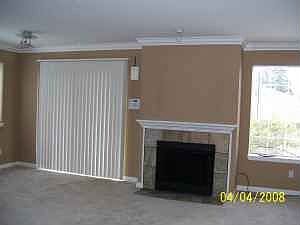 Sliding glass door + fireplace