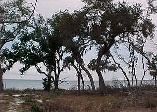 1st image of 6194 E Bay Blvd
