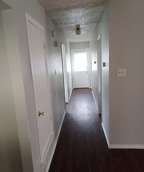 3911 William St — Photo 6