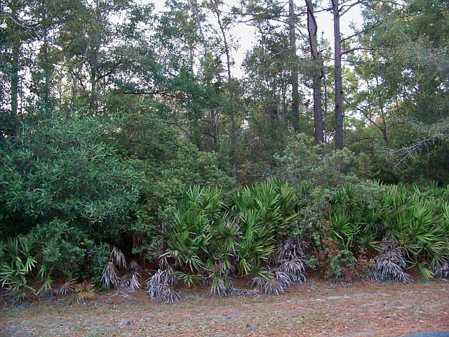 2nd image of 114 Serenoa Dr