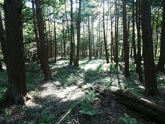 4th image of 67 Wells Ave