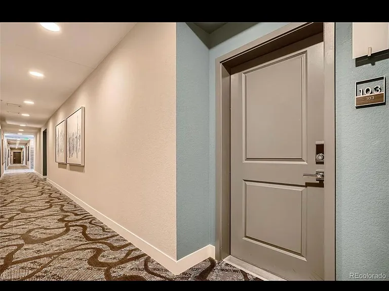 155 S Monaco Street Pkwy #103 — Photo 4