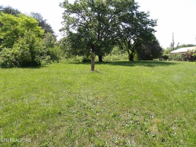 Old Rutledge Pike, Blaine, TN, 37709