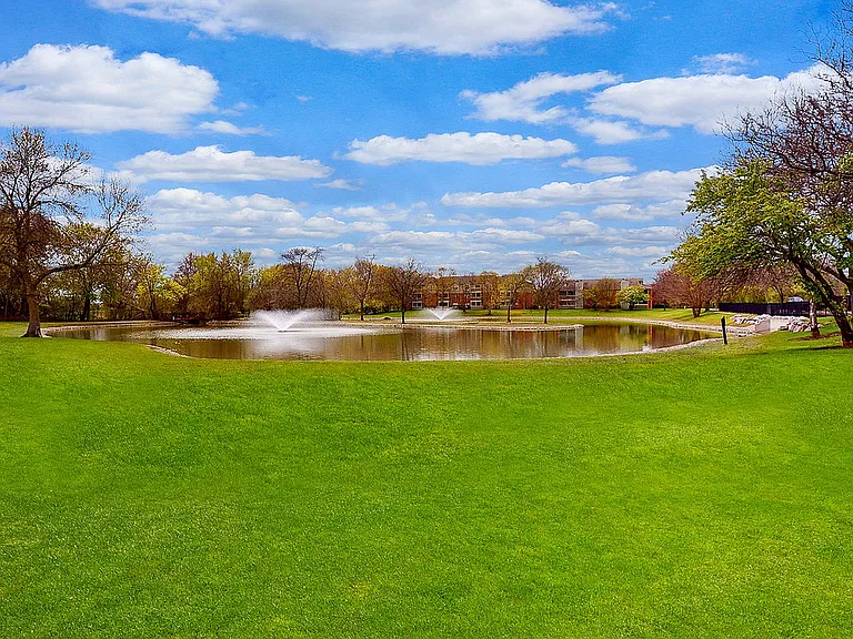 Pond
