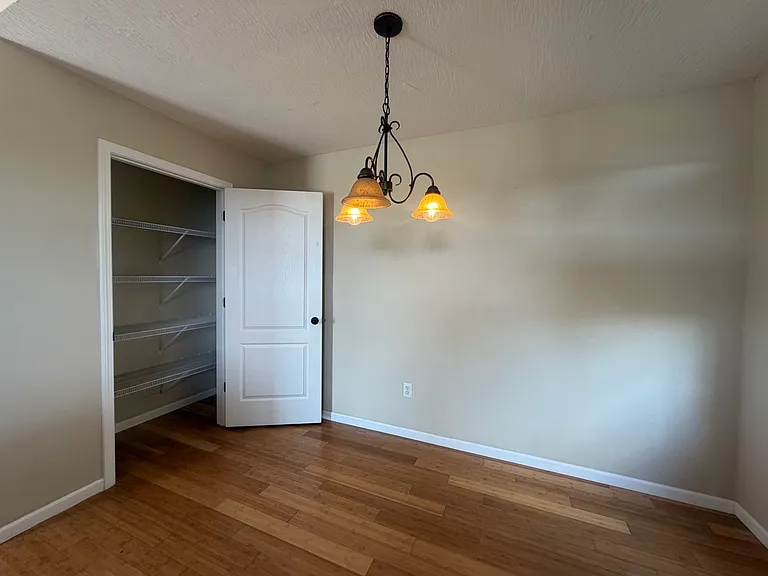 161 Lyle Curtis Cir — Photo 9