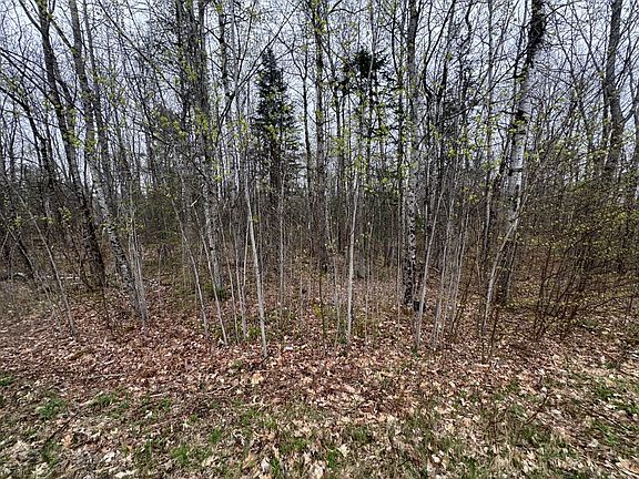 3rd image of Lot 23 N Dixmont Road