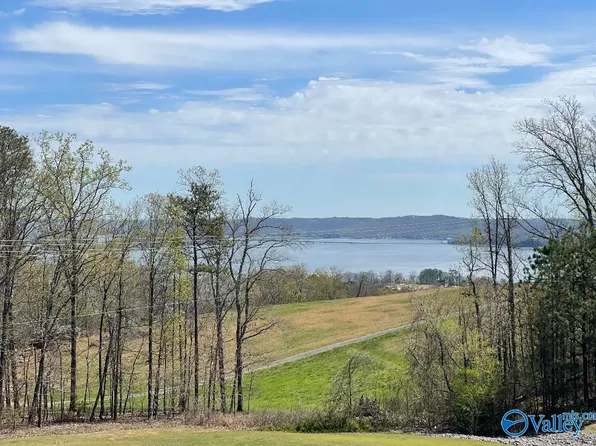 42 Legendary Dr, Guntersville, AL 35976