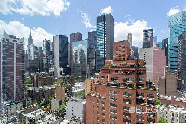 Rented by (Legacy) Elegran | media 41