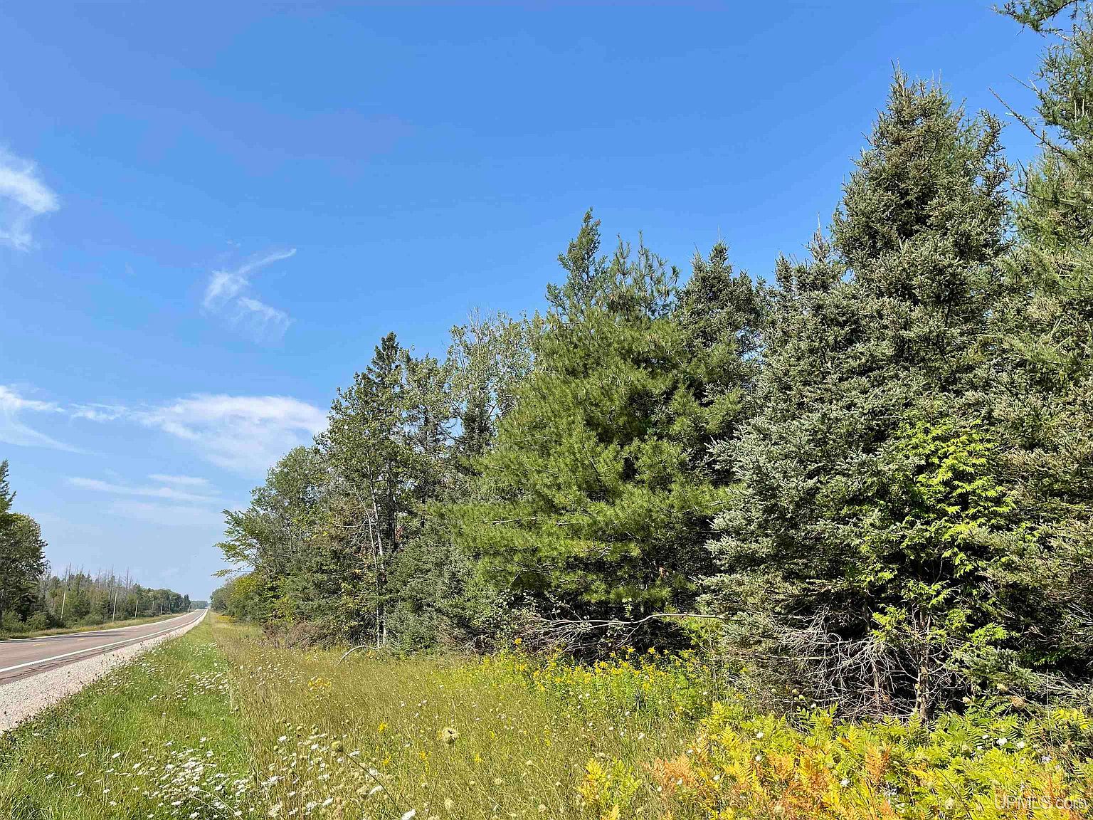 80 Acres Off M94, Skandia, MI 49885 MLS 50121174 Zillow