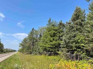 80 Acres Off #M-94, Skandia, MI 49885