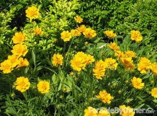 4329 Torrence Ave, Hammond, IN 46327