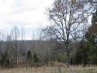 2nd image of Deer Creek Dr