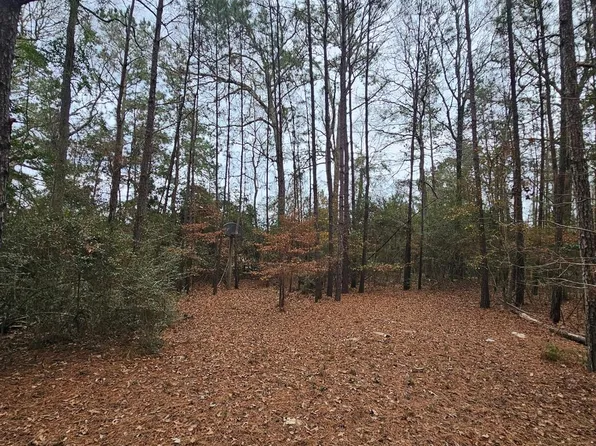 263 Wishing Trl, Livingston, TX 77351