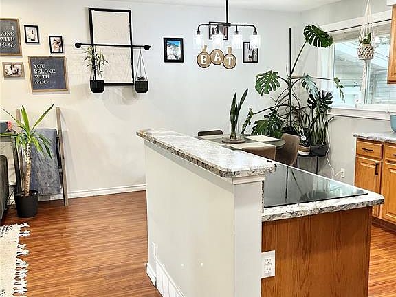 4th image of 111 Lincoln AVENUE