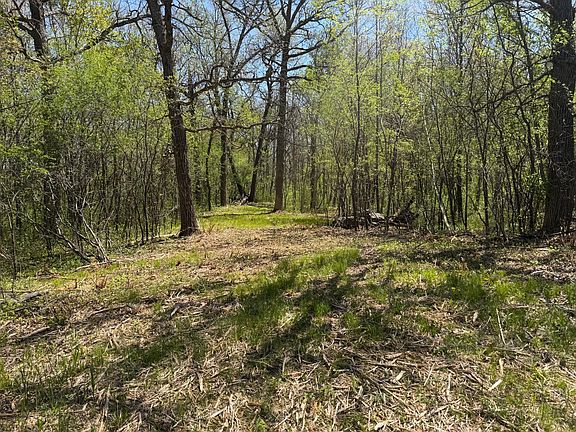 3rd image of State Highway 46 N