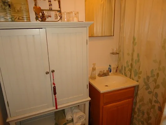 Rented by Village Living Realty | media 11