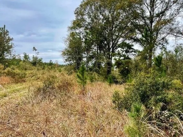 0 Duncan Hand Rd, Hazlehurst, GA 31539