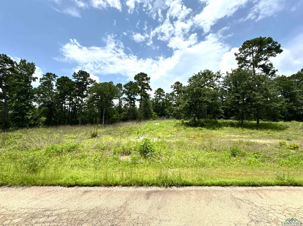 LOT 9 County Road 3545, Hawkins, TX 75765