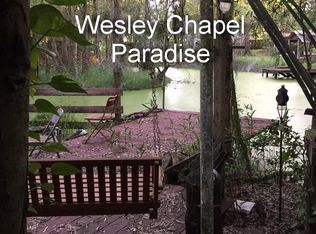 26313 Twin Pines Ct, Wesley Chapel, FL 33544