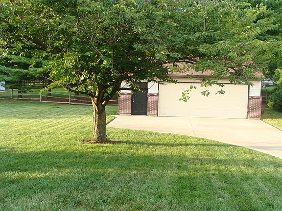 Large, level backyard