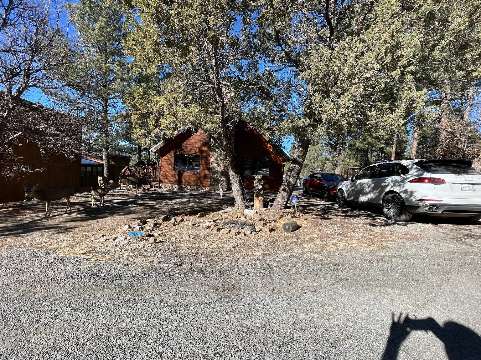 4 bed, 2248 sqft, $2,500 — Photo 3