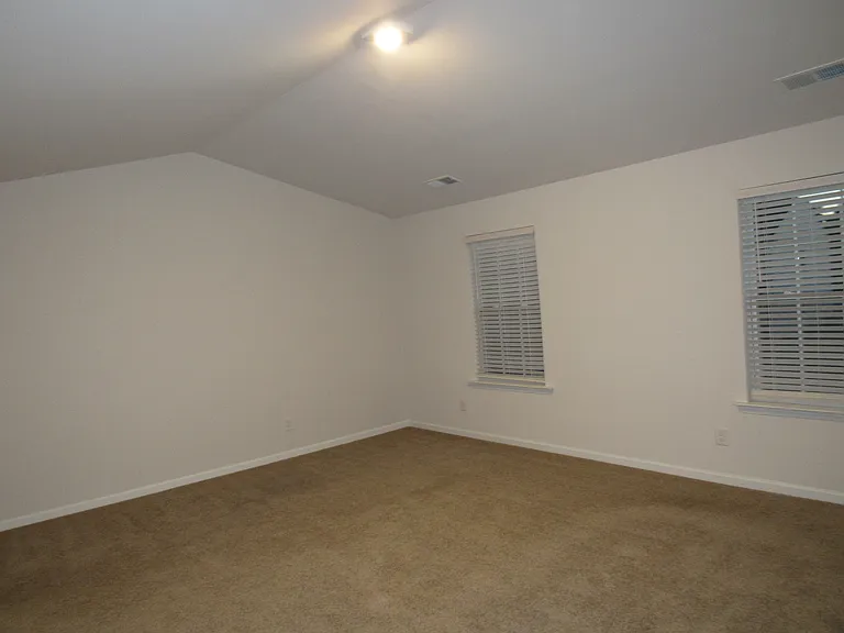 114 Sequoia Forest Dr — Photo 13