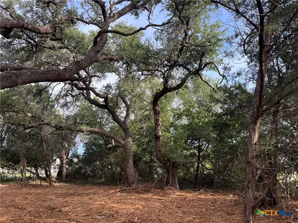1371 Four Winds Dr, Canyon Lake, TX 78133