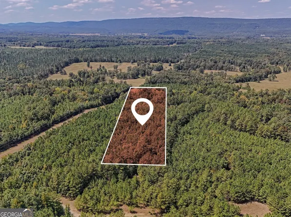 0 County Road 235 #2, Leesburg, AL 35983