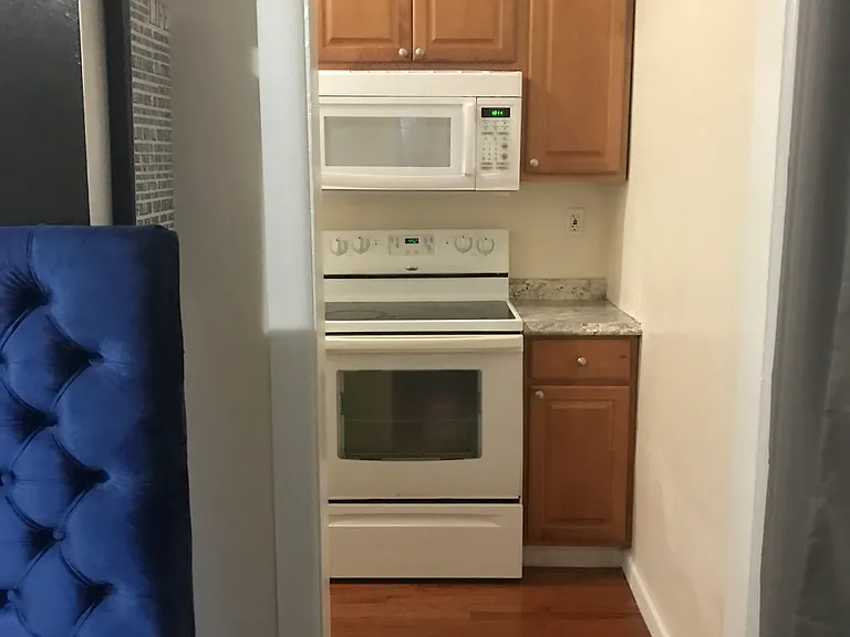 317 S Evaline St #1B — Photo 5