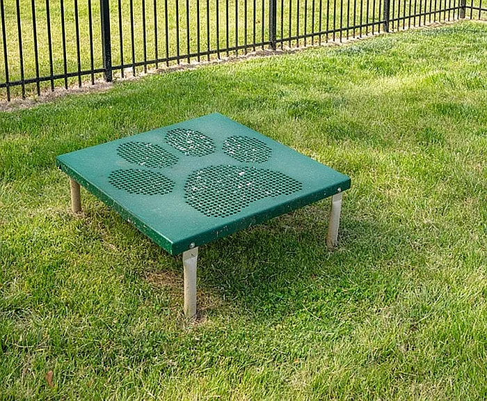 Dog Park