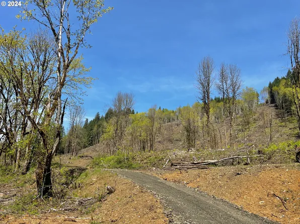 14408 NW Lyda Dr, Gales Creek, OR 97117