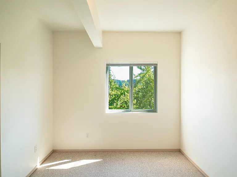 South Haven Apartments — Photo 13