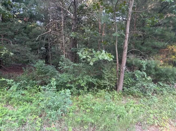 5472 Margaret Ave, Newaygo, MI 49337