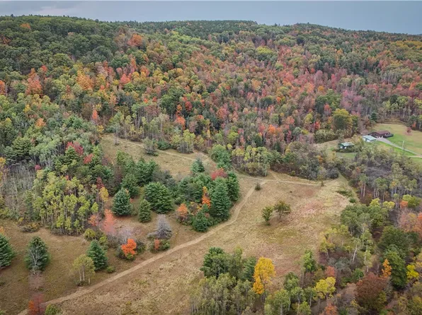 1918 Chambers Rd, Beaver Dams, NY 14812