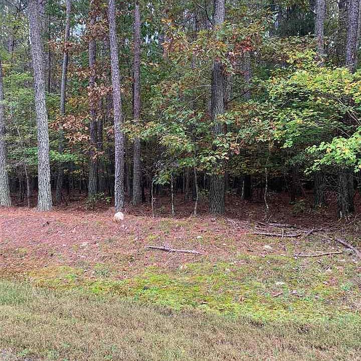 2nd image of 6129 Sibling Pine Dr
