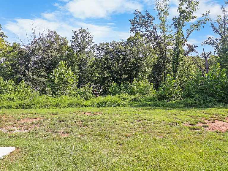 133 Davis Ridge Ln — Photo 33