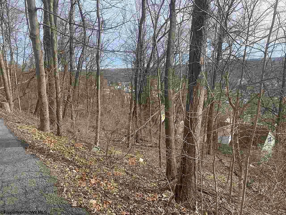 2nd image of 0 Hodges St