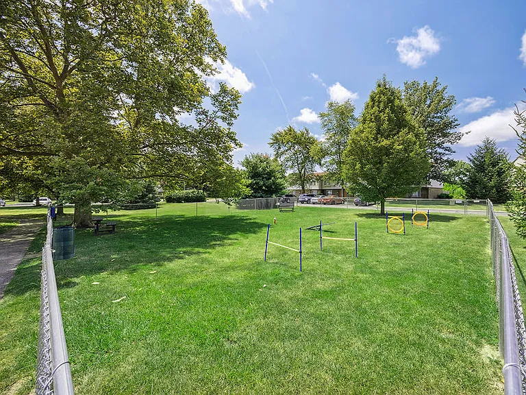 Enclosed Dog Park