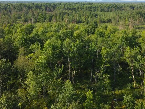 00 Mink Dr, Phillips, WI 54555