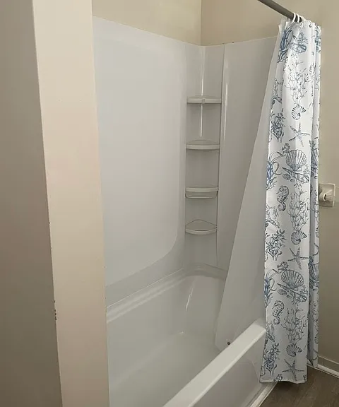 Master Bath Shower and Tub