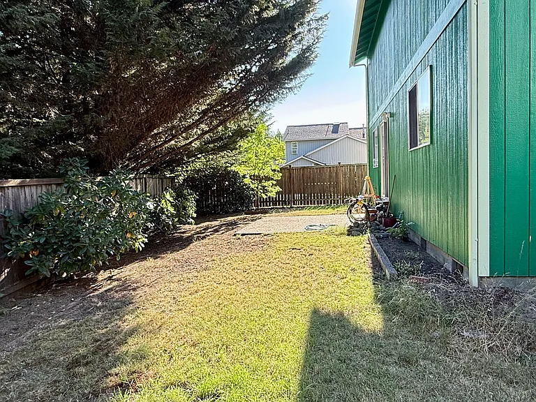 Back yard