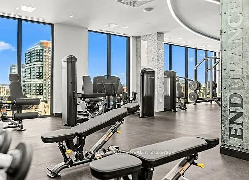 1 bed, $800 — Photo 2