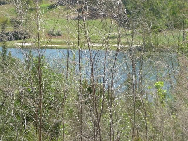 1st image of 181 Sea Grass Ln