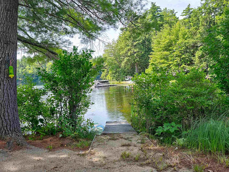 50 Morrill Ln — Photo 29