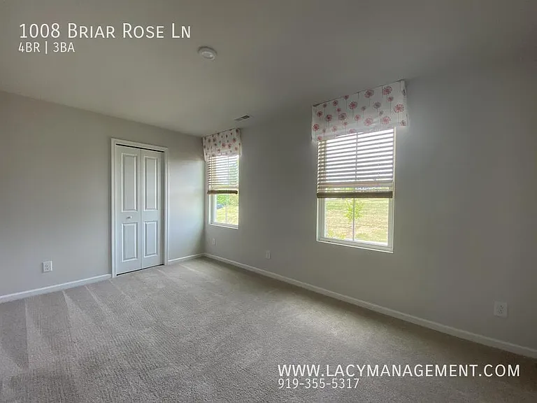 1008 Briar Rose Ln — Photo 12