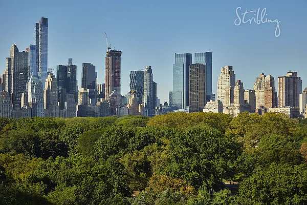 Rented by Stribling | media 21