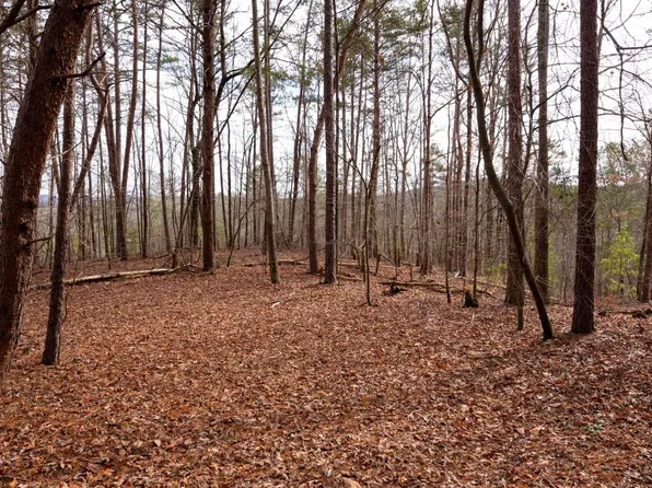0 Mountain Creek Hollow Dr, Talking Rock, GA 30175