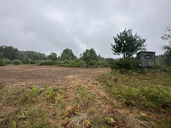 312 W Miller Rd, Mio, MI 48647
